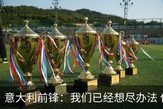 意大利前锋：我们已经想尽办法 但还是不够